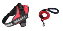 Fashion Simple Pet Leash & Chest Strap Set - Minimalist Adjustable Walking Harness