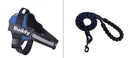 Fashion Simple Pet Leash & Chest Strap Set - Minimalist Adjustable Walking Harness