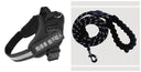 Fashion Simple Pet Leash & Chest Strap Set - Minimalist Adjustable Walking Harness