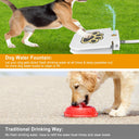 Step-On Dog Water Fountain - Heavy-Duty Iron Outdoor Hydration Toy | Paw Pedal for Large Dogs