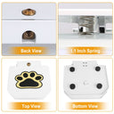 Step-On Dog Water Fountain - Heavy-Duty Iron Outdoor Hydration Toy | Paw Pedal for Large Dogs