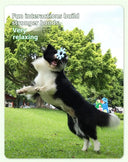 Interactive Dog Flywheel Toy - High-Visibility Floating Frisbee | Gentle on Teeth & Gums