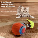 Smart Gravity Cat Toy Ball - Automatic Self-Rolling & Sudden Move Hunter Toy
