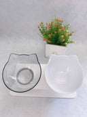 Ergonomic Cat Double Bowl - 15° Tilted Raised Feeder to Protect Cervical Vertebrae