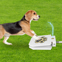 Step-On Dog Water Fountain - Heavy-Duty Iron Outdoor Hydration Toy | Paw Pedal for Large Dogs