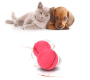 Smart LED Laser Rolling Ball - Automatic Interactive 360° Rotating Cat Toy