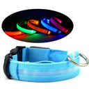 LED Pet Safety Halo Collar - USB Rechargeable High-Visibility Light-Up Loop