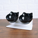 Ergonomic Cat Double Bowl - 15° Tilted Raised Feeder to Protect Cervical Vertebrae