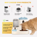 2-in-1 Whale Automatic Pet Feeder & Waterer - Gravity Feeding Station | BPA-Free