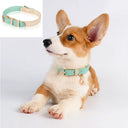 Genuine Leather Dog Collar - Ultra-Soft Odorless Double-Stitched | Adjustable for All Breeds