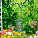 3-Tier Deluxe Wild Bird Station - Squirrel-Proof Rustproof Metal | 6 Perches & 4 Water Cups