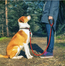 Reflective Nylon Rope Dog Leash - Heavy-Duty Climbing Rope Lead with Padded Handle