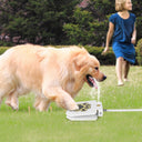 Step-On Dog Water Fountain - Heavy-Duty Iron Outdoor Hydration Toy | Paw Pedal for Large Dogs