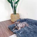 Cloud-Nine Calming Dog Bed - Orthopedic Anti-Anxiety Luxury Plush Donut Bed