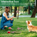 5-Piece Christmas Dog Rope Toy Set - Holiday Dental Chews for Puppies & Medium Dogs