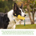 Indestructible Squeaky Corn Dog Toy - Tough Dental Chew for Aggressive Chewers | Bite-Resistant TPR
