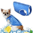 Dog Cooling Vest - Instant Summer Heat Relief Jacket | Breathable Evaporative Cooling Gear
