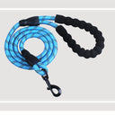 Fashion Simple Pet Leash & Chest Strap Set - Minimalist Adjustable Walking Harness