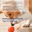 Interactive Smart Bouncing Ball - Automatic Self-Moving Dog Toy with Noise-Reducing Cover