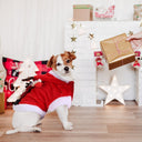 Santa Rider Dog & Cat Costume - Funny Christmas Pet Cosplay Outfit