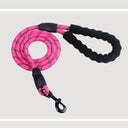 Fashion Simple Pet Leash & Chest Strap Set - Minimalist Adjustable Walking Harness