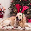 5-Piece Christmas Dog Rope Toy Set - Holiday Dental Chews for Puppies & Medium Dogs