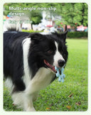 Interactive Dog Flywheel Toy - High-Visibility Floating Frisbee | Gentle on Teeth & Gums
