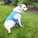 Dog Cooling Vest - Instant Summer Heat Relief Jacket | Breathable Evaporative Cooling Gear