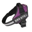 Fashion Simple Pet Leash & Chest Strap Set - Minimalist Adjustable Walking Harness