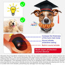 3-in-1 Squeaky Dog Chew Toy - Indestructible Dental Molar Cleaner for Aggressive Chewers