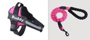 Fashion Simple Pet Leash & Chest Strap Set - Minimalist Adjustable Walking Harness