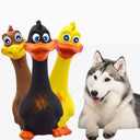 3-Pack Screaming Chicken Squeaky Dog Toys - Eco-Friendly Latex Interactive Chew Set