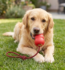 Durable Natural Rubber Rope Toy - Heavy-Duty Tug & Chew Toy for Dogs